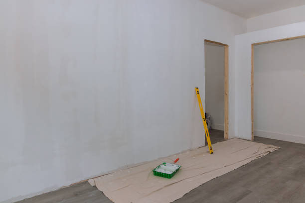 Wallpaper Removal and Painting in Alamo, NV